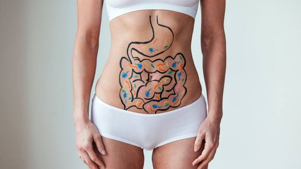 GUT HEALTH NATUROPATH PACKAGE