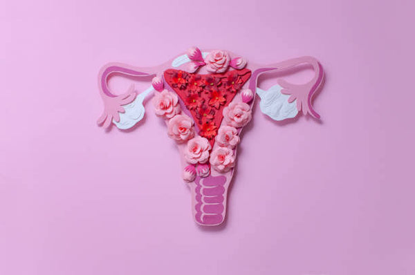 PCOS NATUROPATH PACKAGE